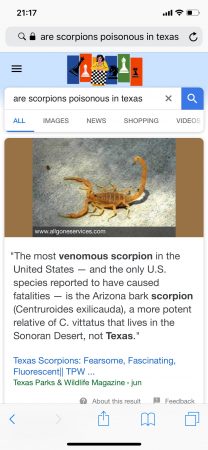 Google search for scorpion venom research