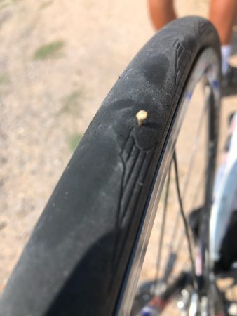 Yet another thorn in the tyre